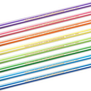 BIC Bleistift Evolution Stripes 8960342 sechskant-Mine ass. 12 Stk.