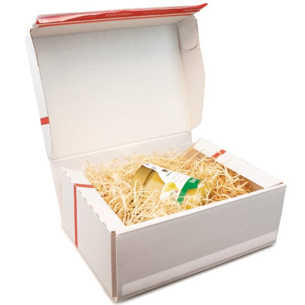 COLOMPAC Klappschachtel weiss 2053479 363x290x125mm