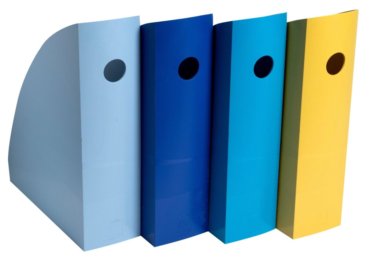 EXACOMPTA Stehsammler BeeBlue A4+ 18202SETD Set Mag Cube, 4 Farben ass. – Hochwertig & günstig bei ShopDeca