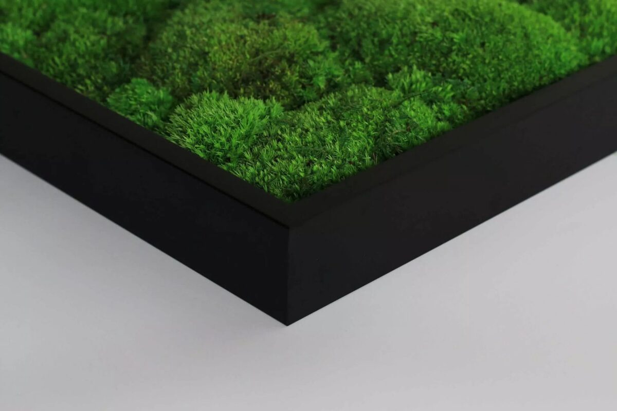 Pflanzenbild im Dschungeldesign 100x60cm – Hochwertig & günstig bei ShopDeca