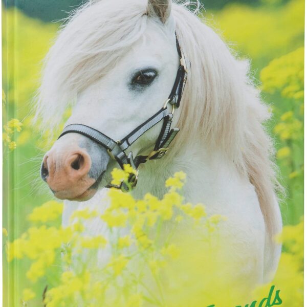 PAGNA Freundebuch 20346-15 kleines Pony 60S