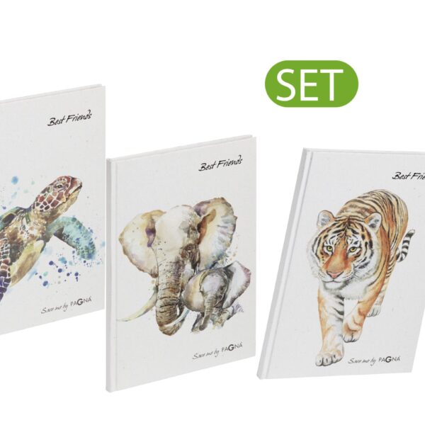 PAGNA Freundebuch Set 3 Stk Save me 20374-25 Save me No.3 60 Seiten