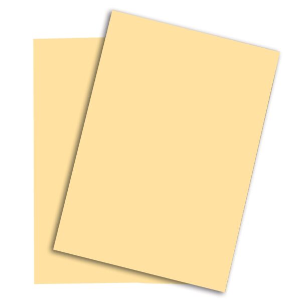 PAPYRUS Rainbow Papier FSC A4 88042276 80g, chamois 500 Blatt