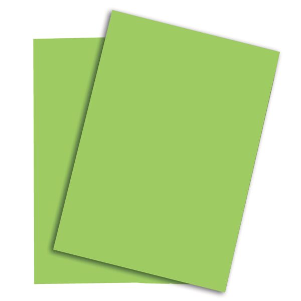 PAPYRUS Rainbow Papier FSC A4 88043112 120g, grün 250 Blatt
