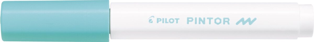 PILOT Marker Pintor F SW-PT-F-PG pastell grün – Hochwertig & günstig bei ShopDeca