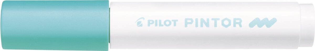 PILOT Marker Pintor M SW-PT-M-PG pastell grün – Hochwertig & günstig bei ShopDeca