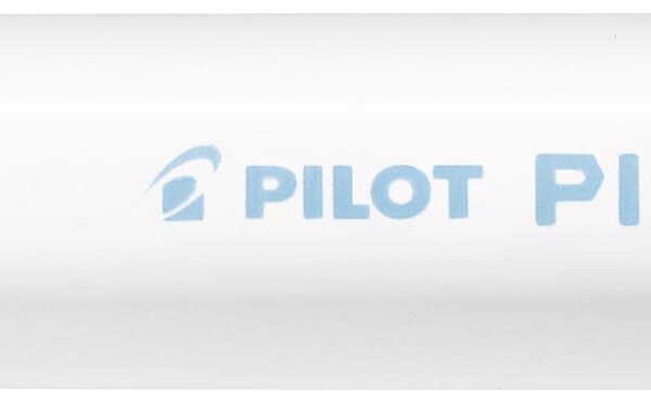 PILOT Marker Pintor M SW-PT-M-PL pastell blau