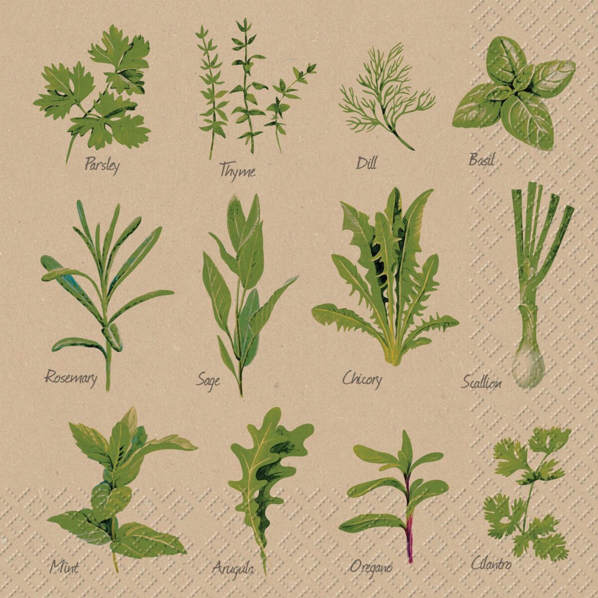 STEWO Serviette Herb 2572598765 grau 33x33cm – Hochwertig & günstig bei ShopDeca