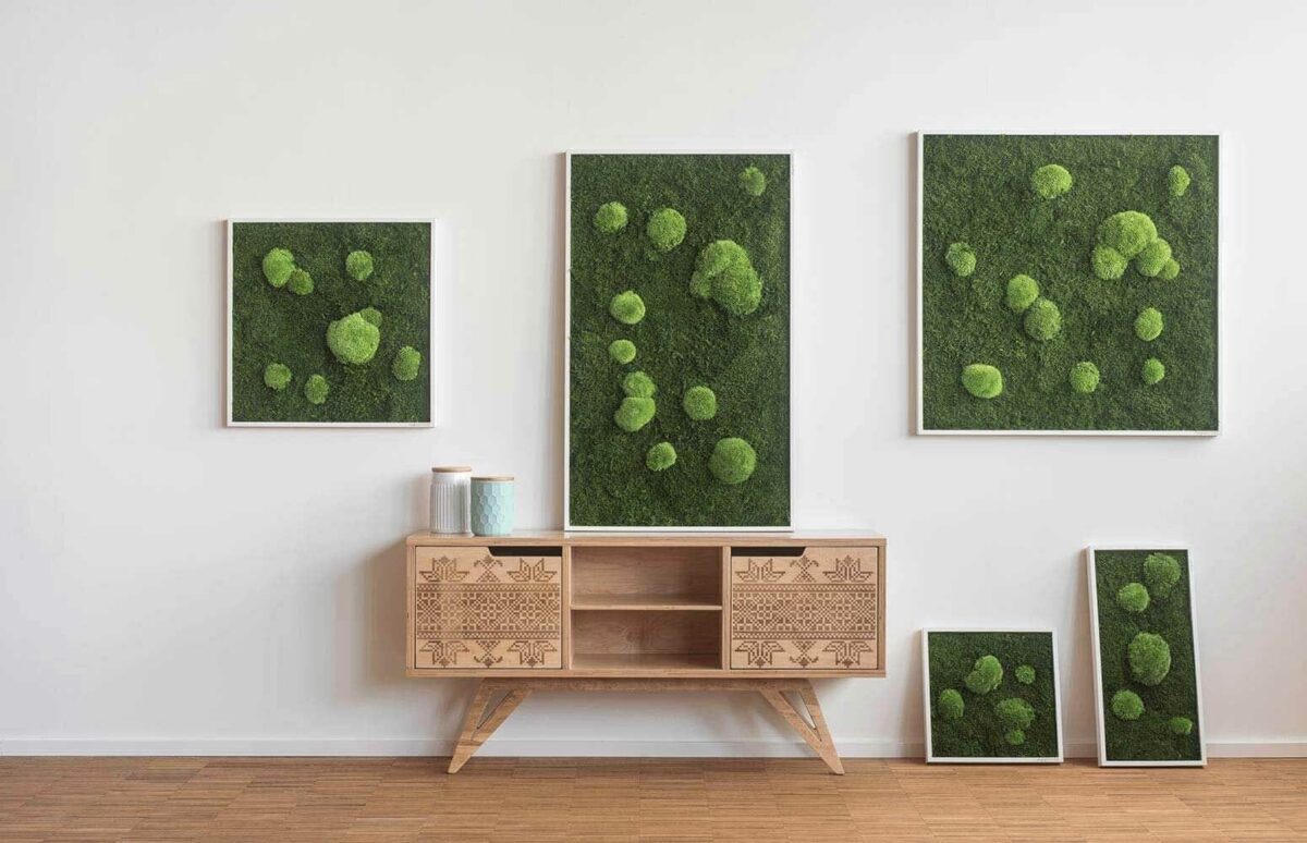 Moosbild: Wald- und Kugelmoosbild 80x80cm – Hochwertig & günstig bei ShopDeca