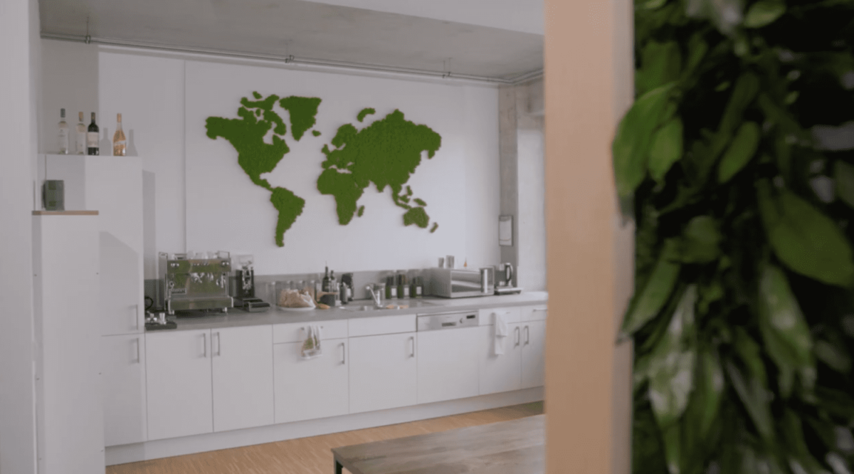 Islandmoos-Weltkarte – Hochwertig & günstig bei ShopDeca