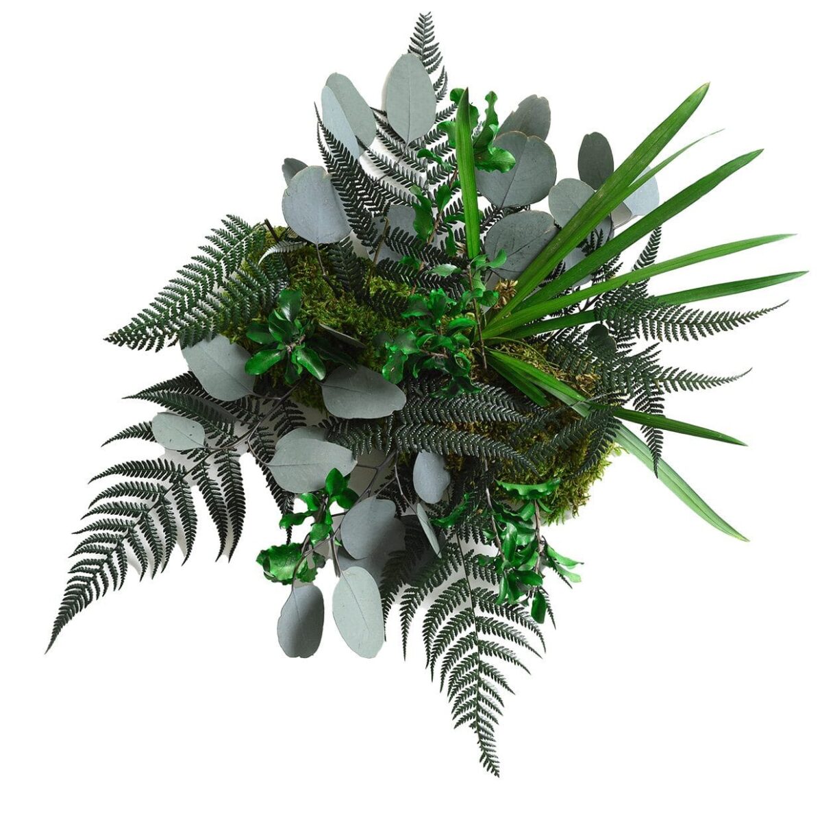 Flexgreen Pflanzenelement – Hochwertig & günstig bei ShopDeca