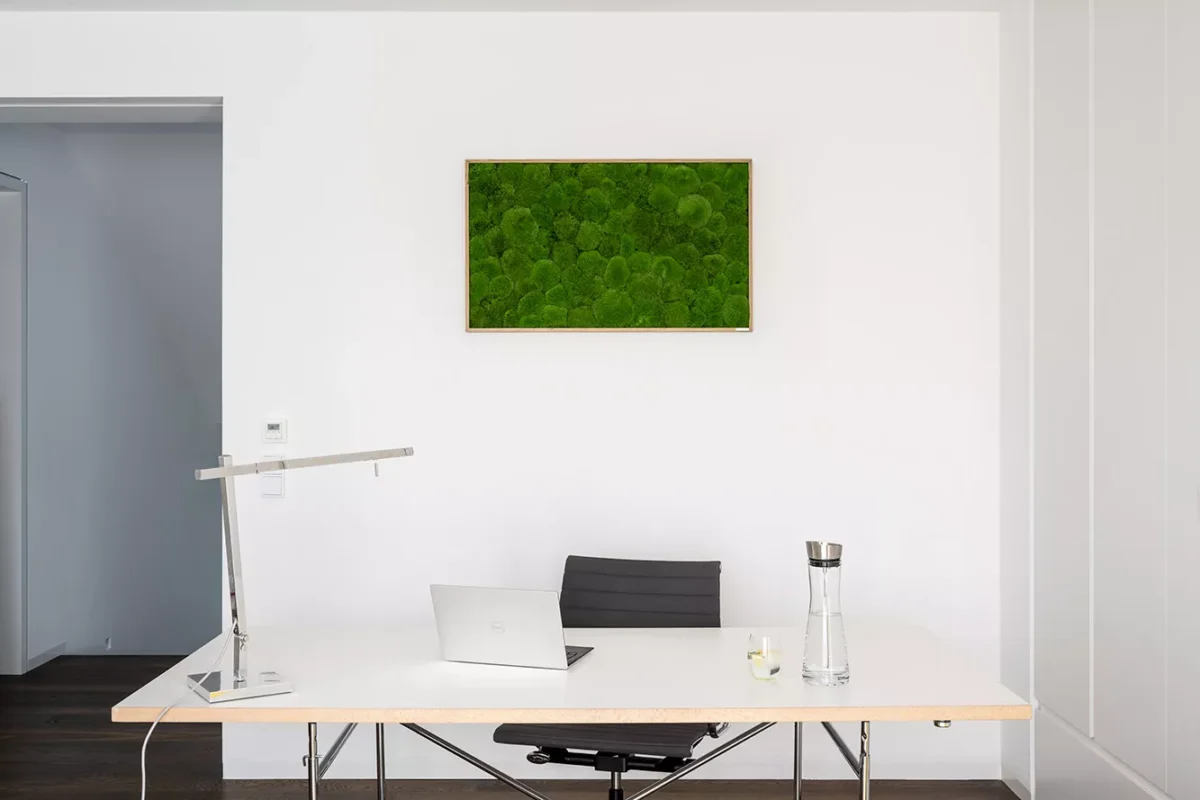 Moosbild: Kugelmoosbild 100x60cm – Hochwertig & günstig bei ShopDeca