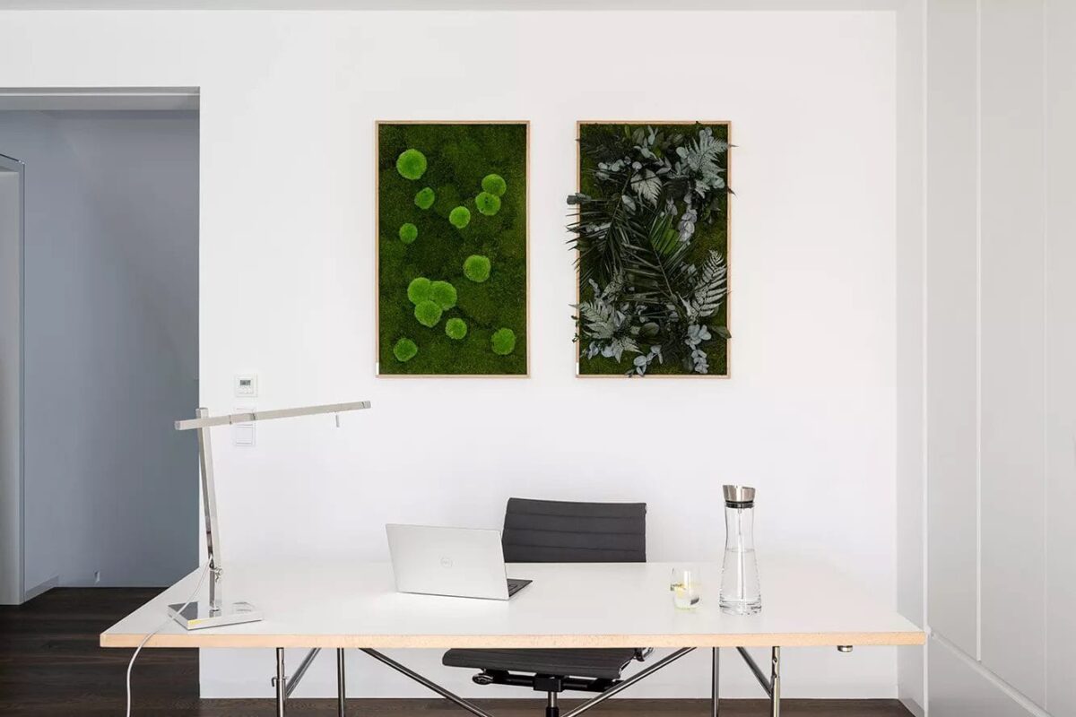 Pflanzenbild im Dschungeldesign 100x60cm – Hochwertig & günstig bei ShopDeca