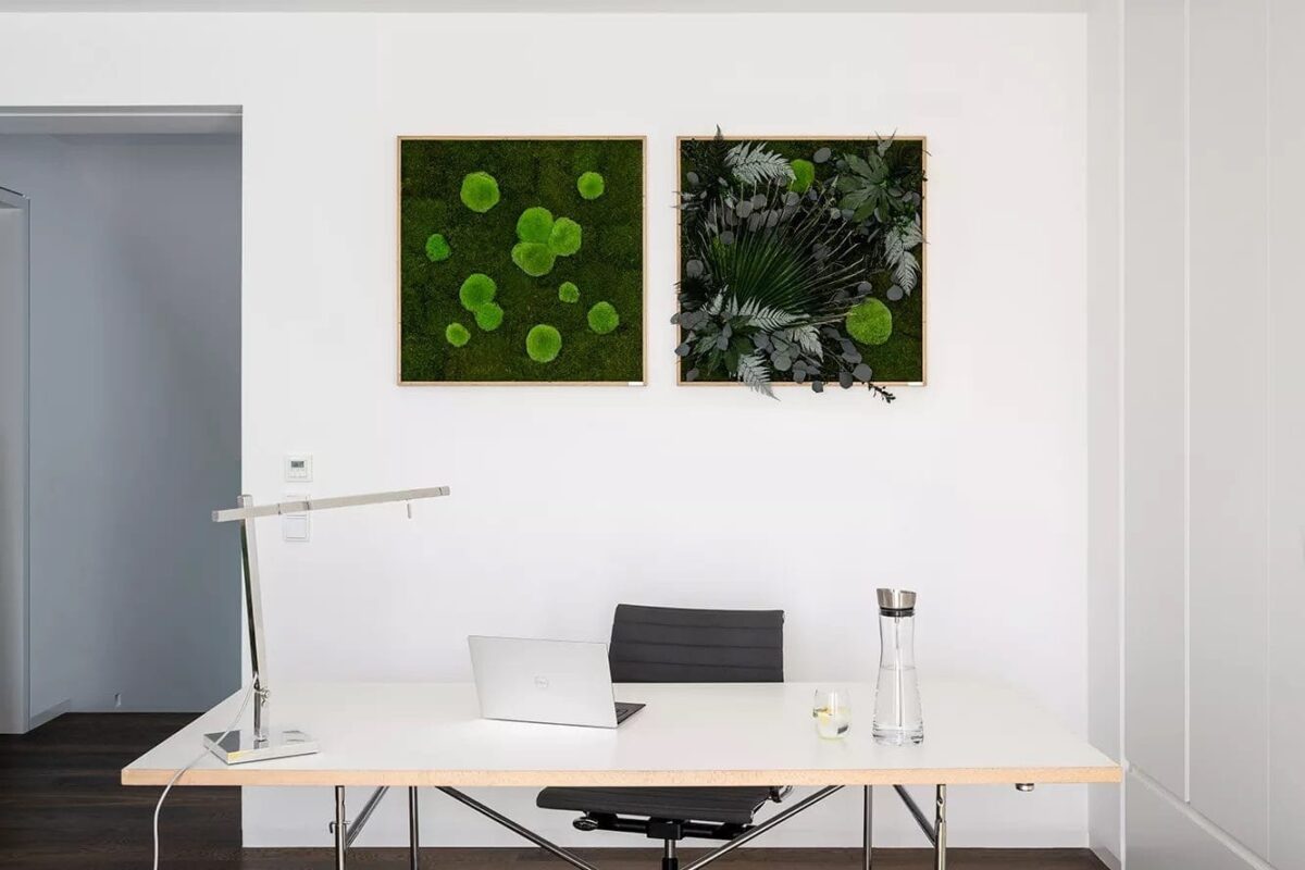 Moosbild: Kugelmoosbild 80x80cm – Hochwertig & günstig bei ShopDeca