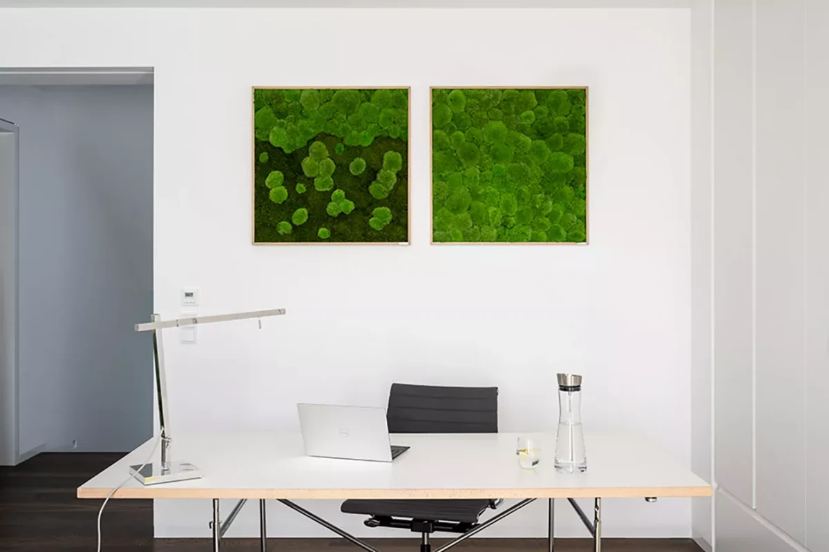 Moosbild Verlauf: Wald- und Kugelmoosbild Verlauf 80x80cm – Hochwertig & günstig bei ShopDeca