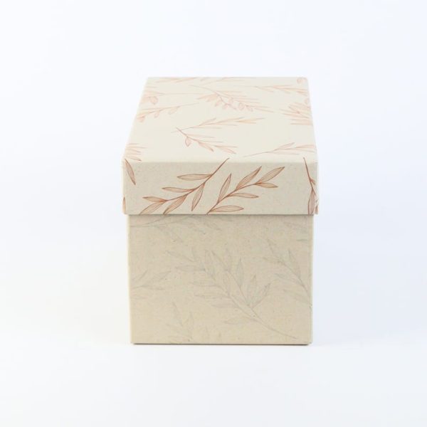 ANCOR Multibox ECOLOGIQUE 100983 small