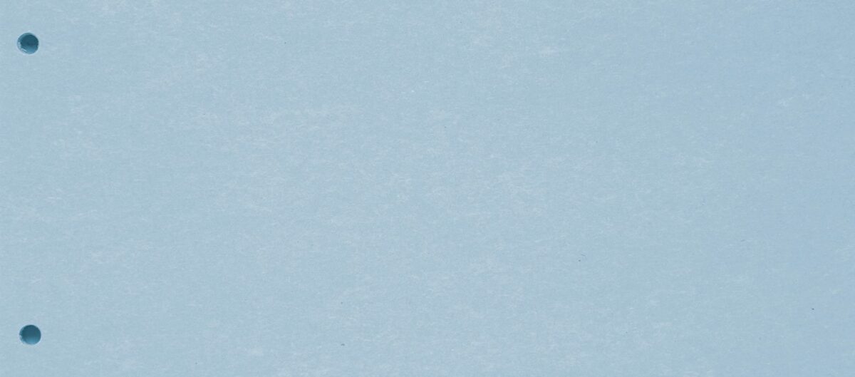 BIELLA Trennstreifen Karton 2 Loch 19919005U blau, 24x10.5cm 100 Stk. – Hochwertig & günstig bei ShopDeca
