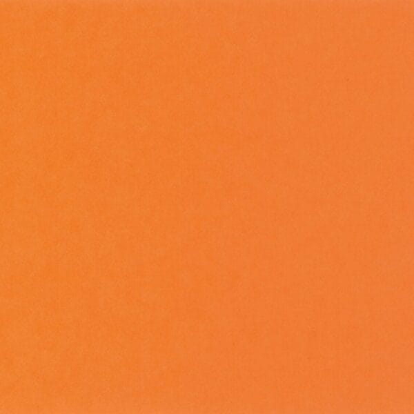 BIELLA Trennstreifen Karton 2 Loch 19919035U orange, 24x10.5cm 100 Stk.