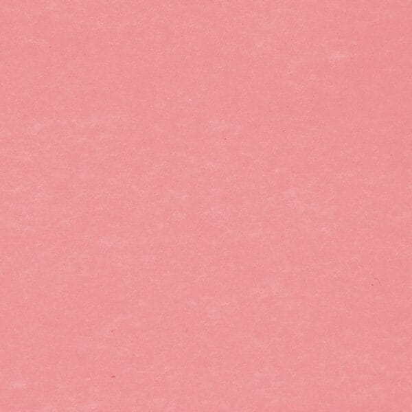 BIELLA Trennstreifen Karton 2 Loch 19919045U rot, 24x10.5cm 100 Stk.