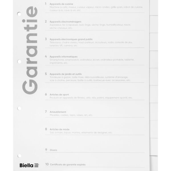 BIELLA Register Karton Expert A4 465021091U Garantie DE 10-teilig