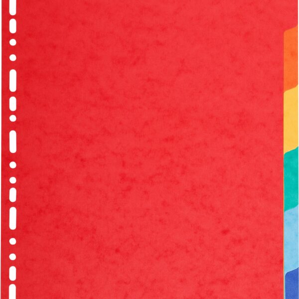 BIELLA Kartonregister Top Color A4 47940600U intensiv 6-teilig