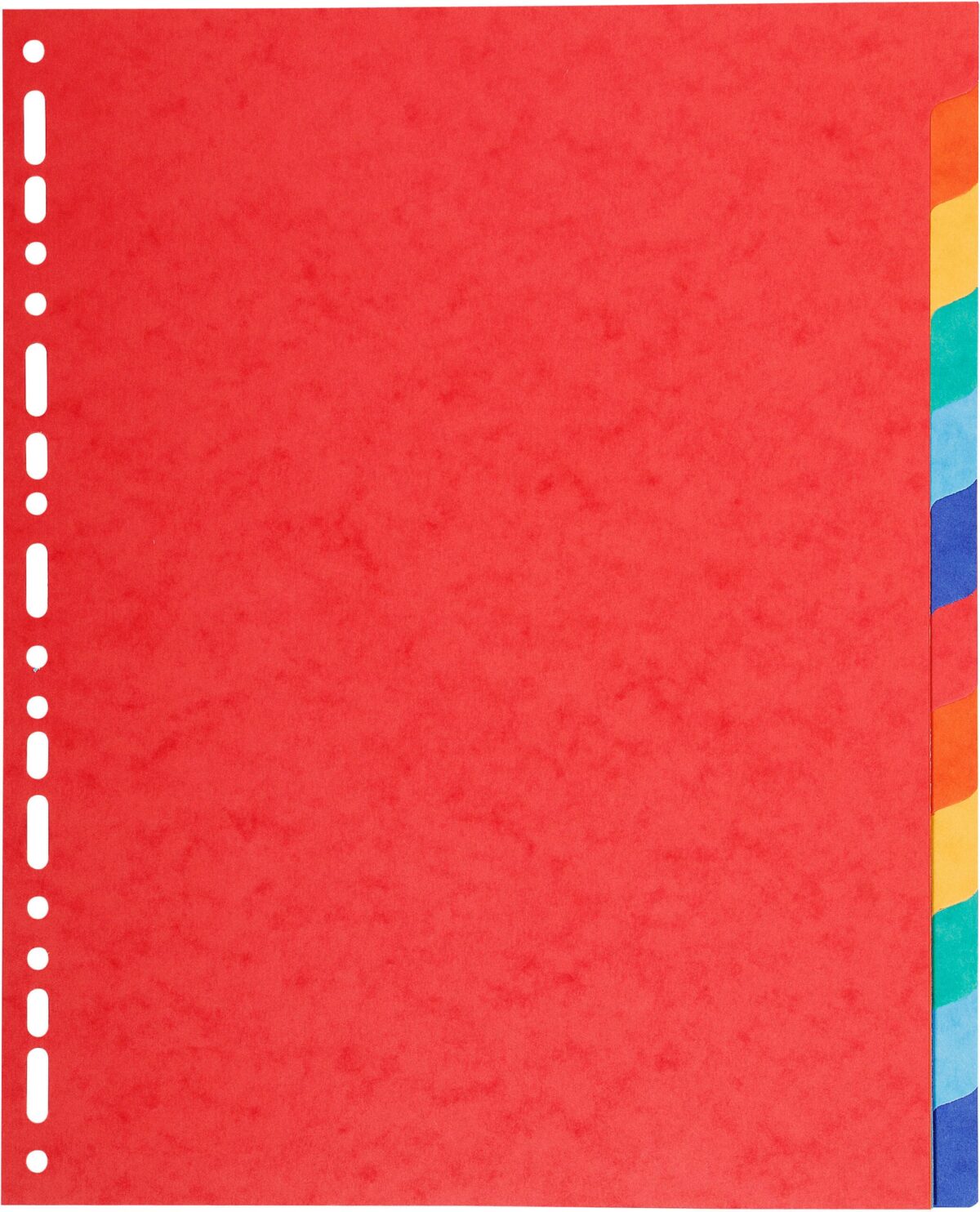 BIELLA Kartonregister Top Color A4 47941200U intensiv 12-teilig – Hochwertig & günstig bei ShopDeca