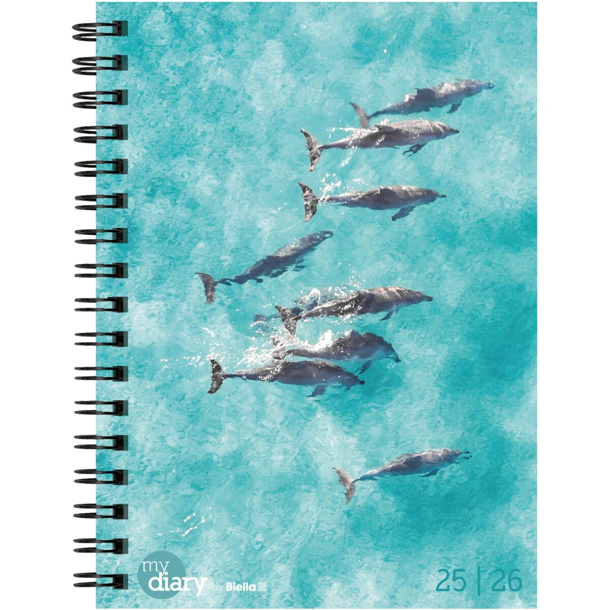 BIELLA Schüleragenda Animal 25/26 806517830026U 1W/2S 12x16.5cm – Hochwertig & günstig bei ShopDeca