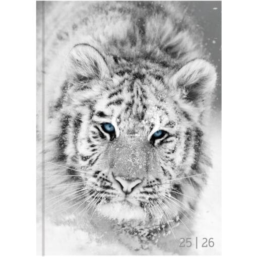 BIELLA Schüleragenda BlackWhite 25/26 806544860026U 1T/1S 12x16.5cm