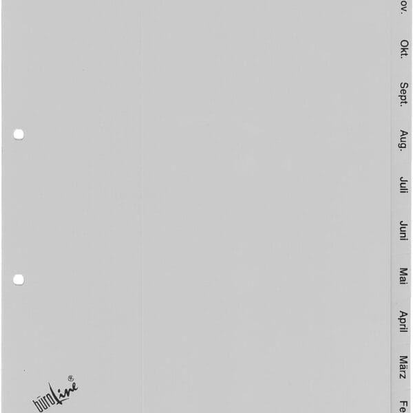 BÜROLINE Register PP A4 667280 grau Dez-Jan DE