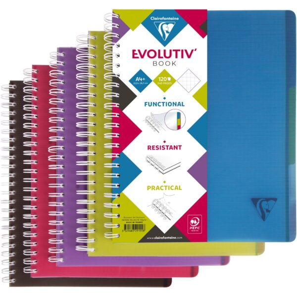 CLAIREFONTAINE LINICOLOR Heft A4+ 329155 5mm 120 Blatt