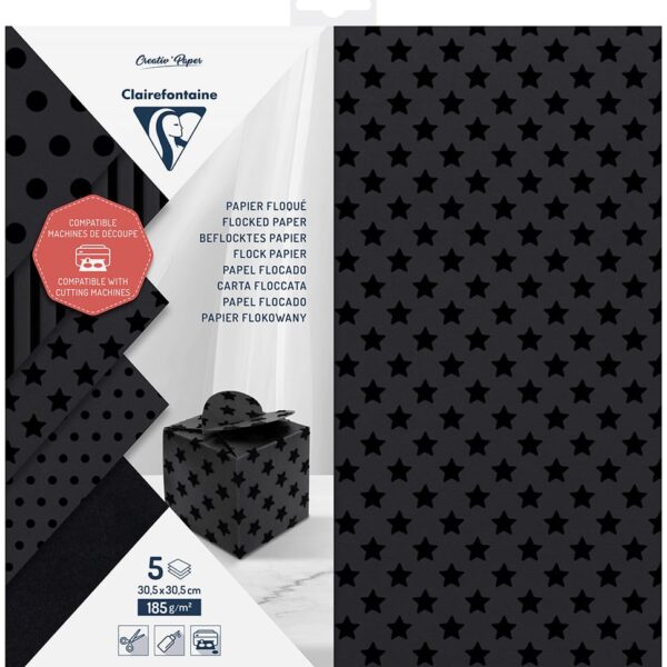 CLAIREFONTAINE Schneidepapier 30.5x30.5cm 95734C beflockt, 185g 5 Blatt