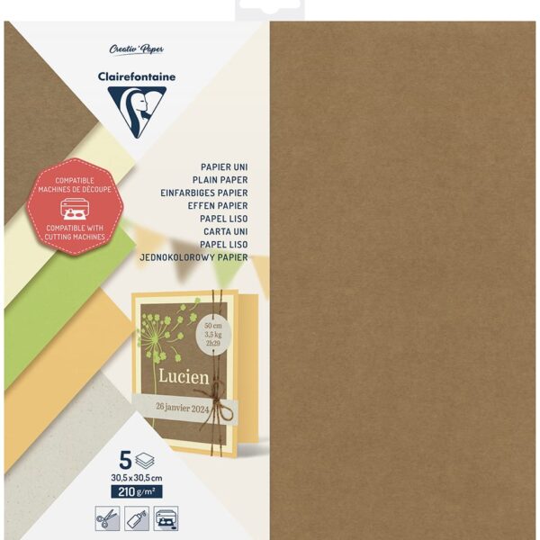 CLAIREFONTAINE Schneidepapier 30.5x30.5cm 95739C einfarbig, 210g 5 Blatt
