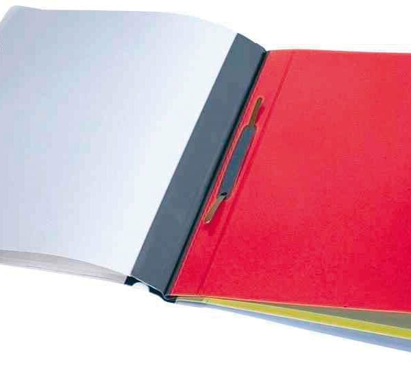 DURABLE Organisationsheft. Divisioflex 255706 für 100 Blatt A4,5-teilig blau