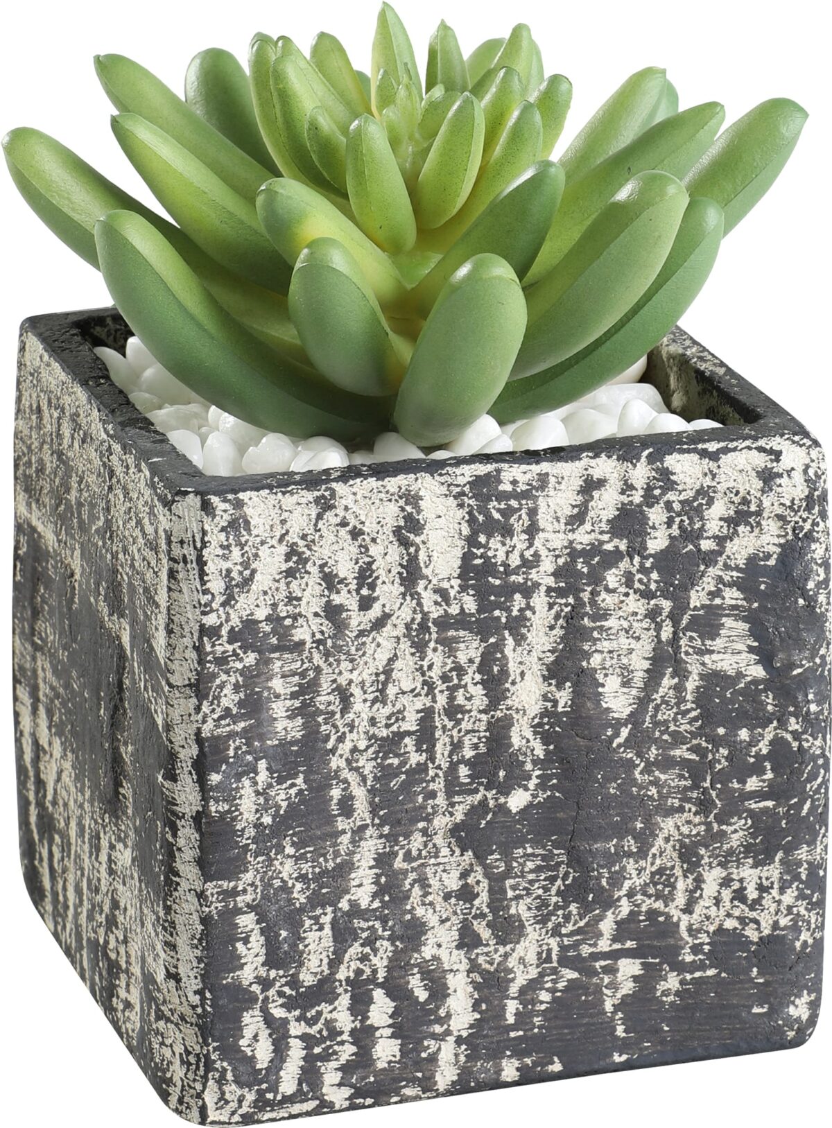 EGLO Kunstpflanze 12cm 428007 grün, im Topf – Hochwertig & günstig bei ShopDeca