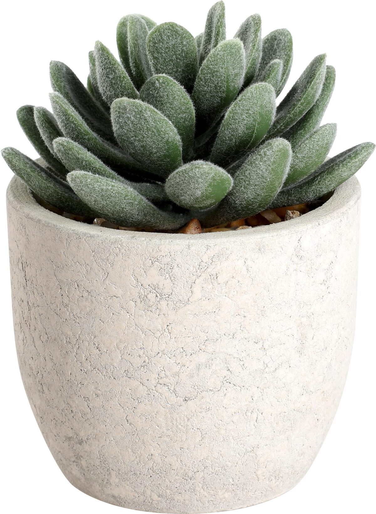 EGLO Kunstpflanze 11cm 428011 grün, im Topf – Hochwertig & günstig bei ShopDeca