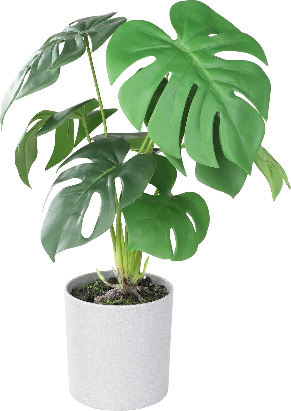 EGLO Kunstpflanze 42cm 428017 grün, im Topf – Hochwertig & günstig bei ShopDeca