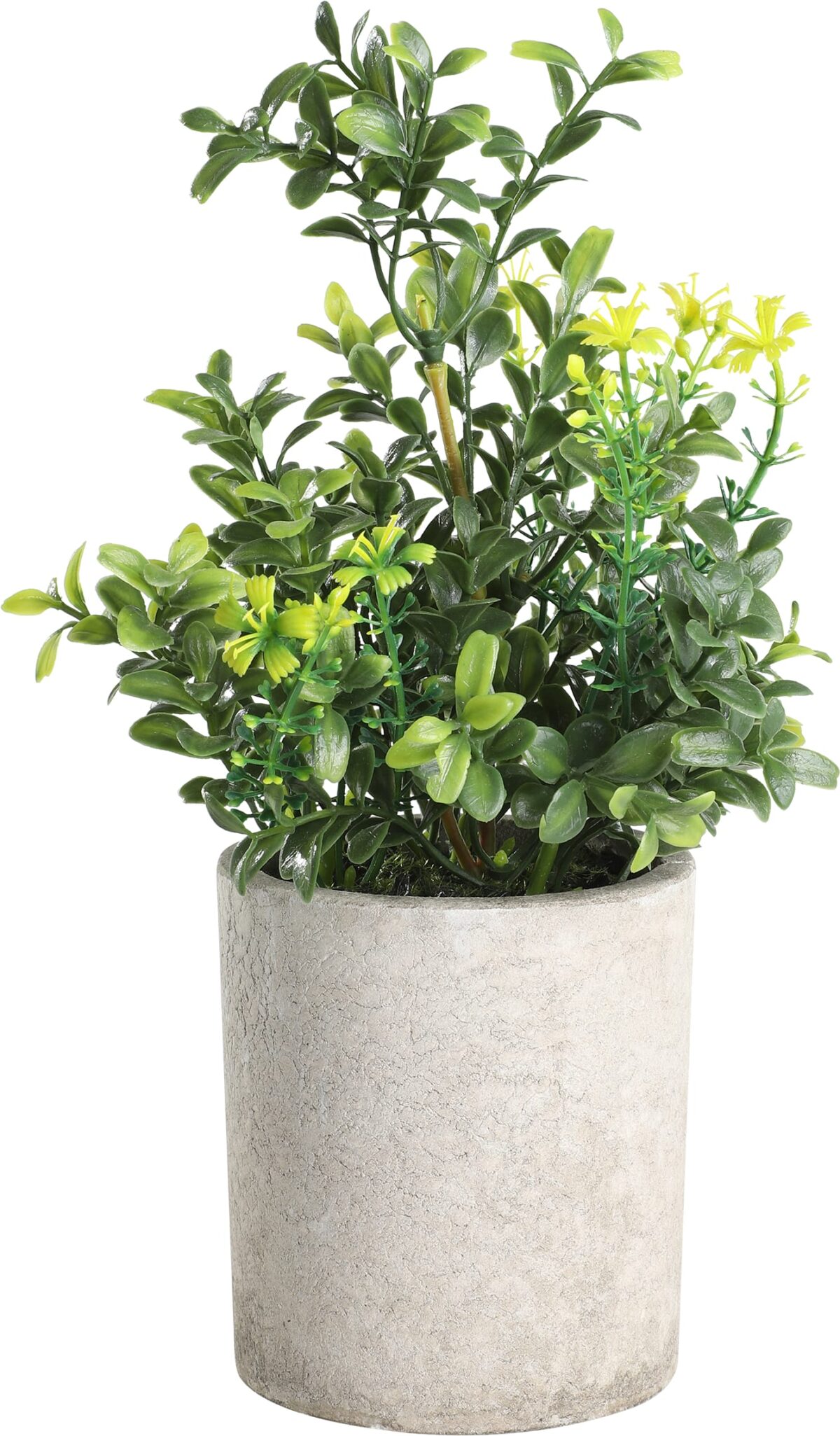 EGLO Kunstpflanze 25cm 428025 grün, im Topf – Hochwertig & günstig bei ShopDeca