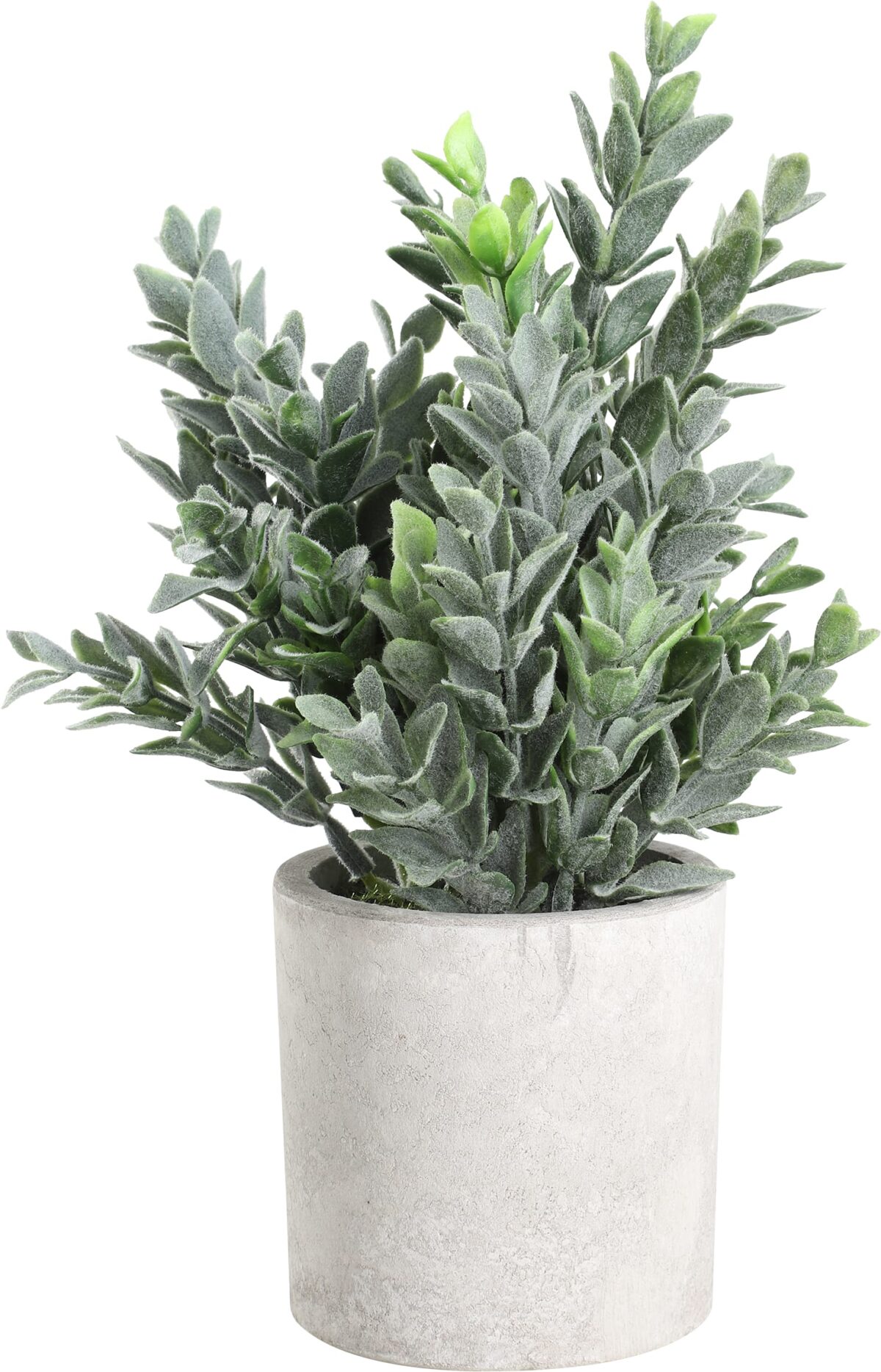 EGLO Kunstpflanze 22cm 428027 grün, im Topf – Hochwertig & günstig bei ShopDeca
