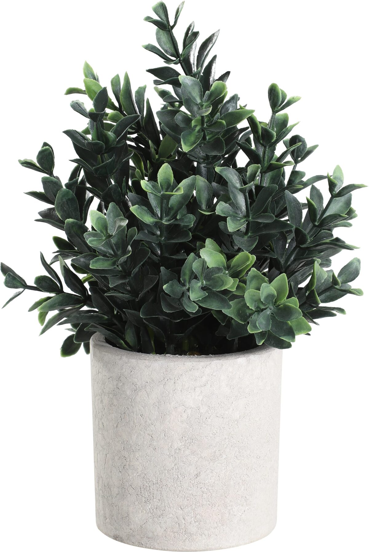 EGLO Kunstpflanze 23cm 428028 grün, im Topf – Hochwertig & günstig bei ShopDeca