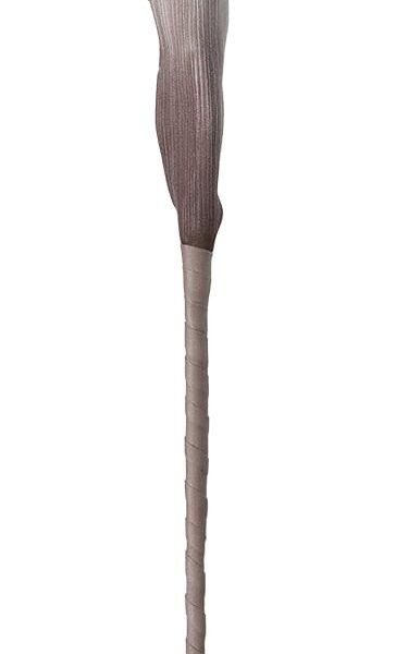 EGLO Kunstblume MOLAVE 428118 rot