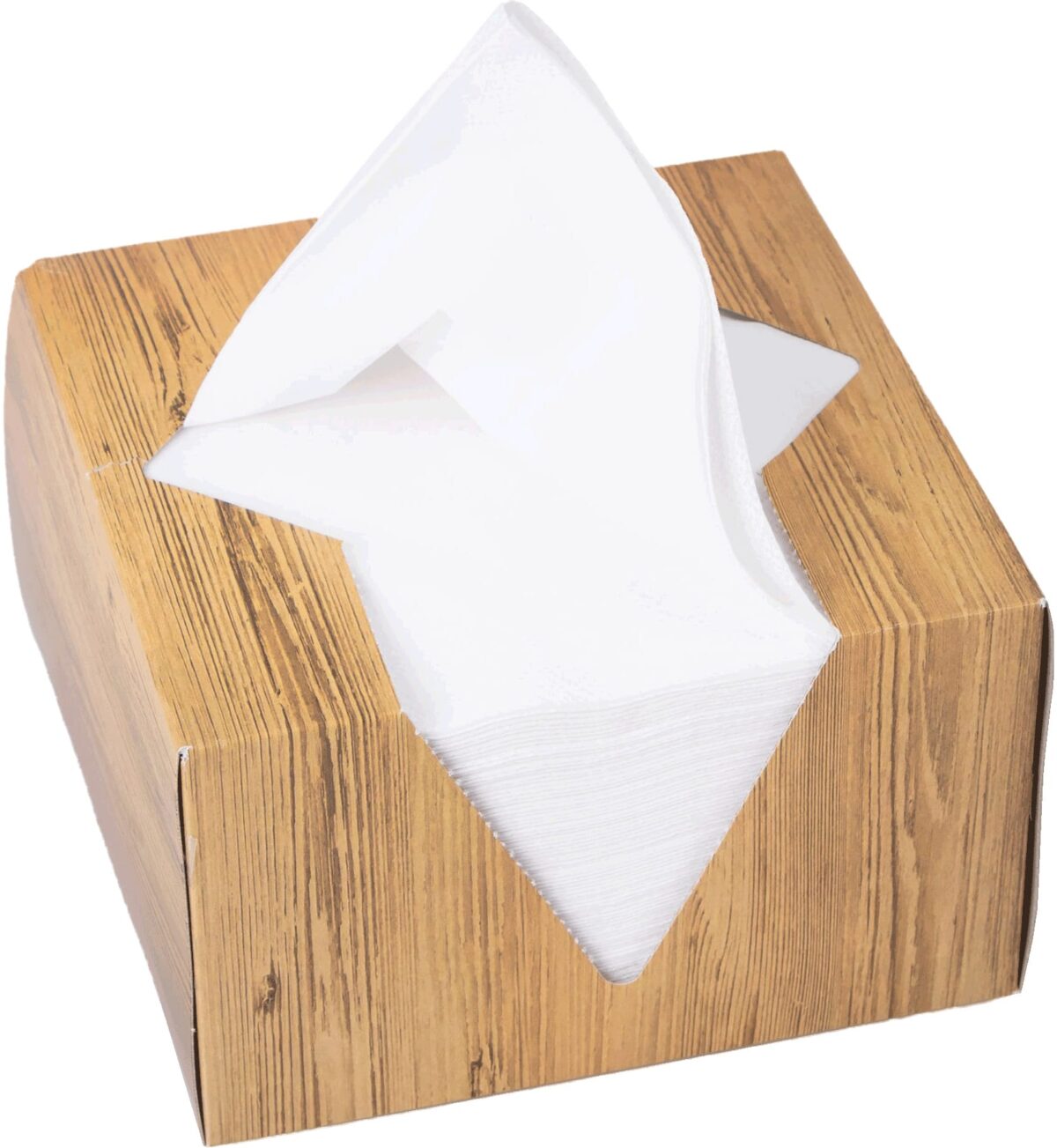 ELCO Serviettenbox 33x33cm 33402100-001 3-lagig, weiss 100Stk. – Hochwertig & günstig bei ShopDeca