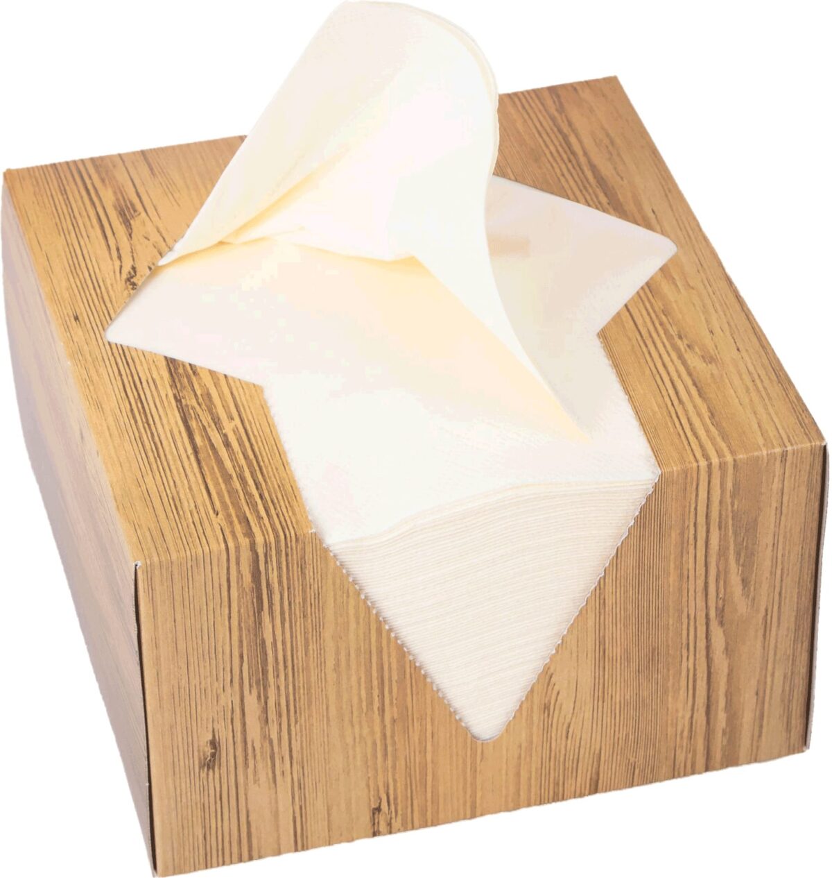ELCO Serviettenbox 33x33cm 33402100-004 3-lagig, crème 100Stk. – Hochwertig & günstig bei ShopDeca