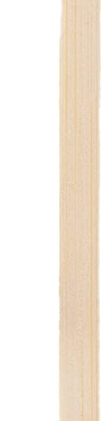 ELCO Picker aus Holz 89747350-097 12cm, 50Stk.