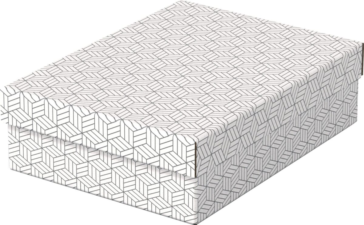 ESSELTE Aufbewahrungsboxen Home M 628284 365x265x100mm, weiss 3 Stk – Hochwertig & günstig bei ShopDeca
