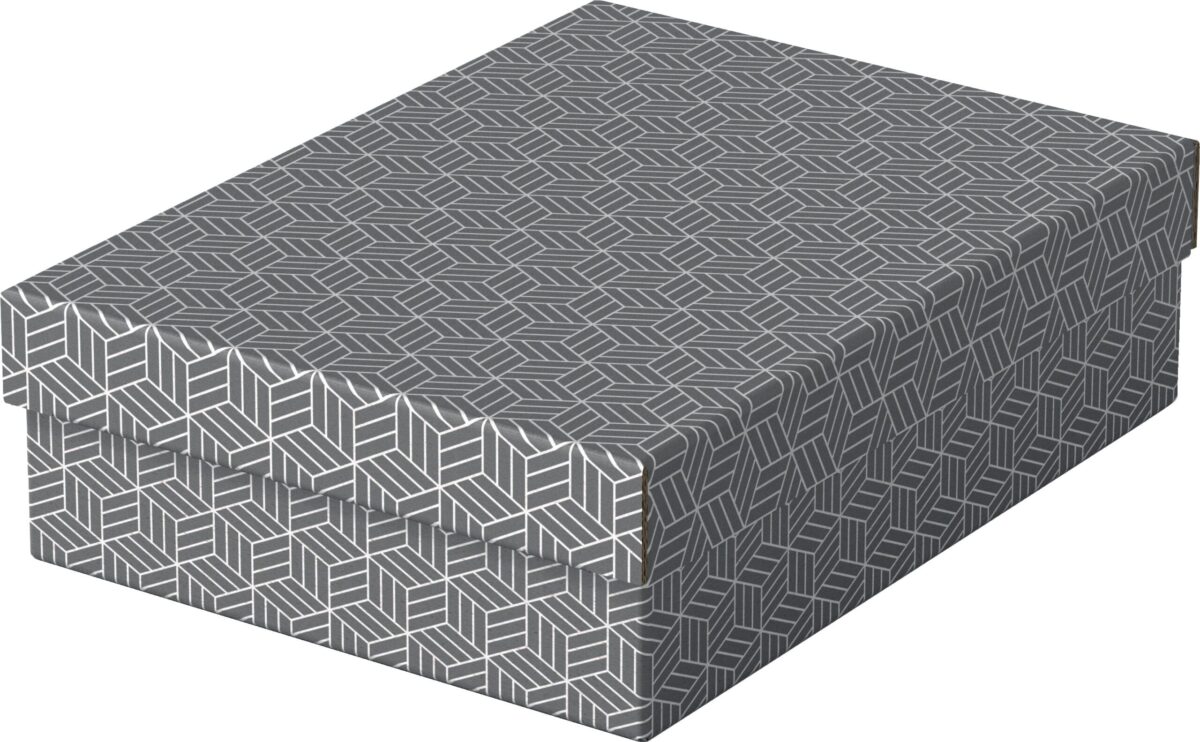 ESSELTE Aufbewahrungsboxen Home M 628285 365x265x100mm, grau 3 Stk – Hochwertig & günstig bei ShopDeca