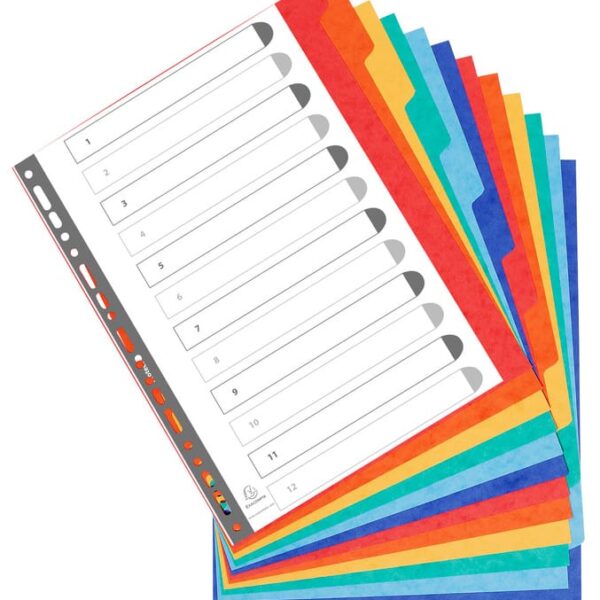 EXACOMPTA Kartonregister A4+ 2612E intensiv 12-teilig