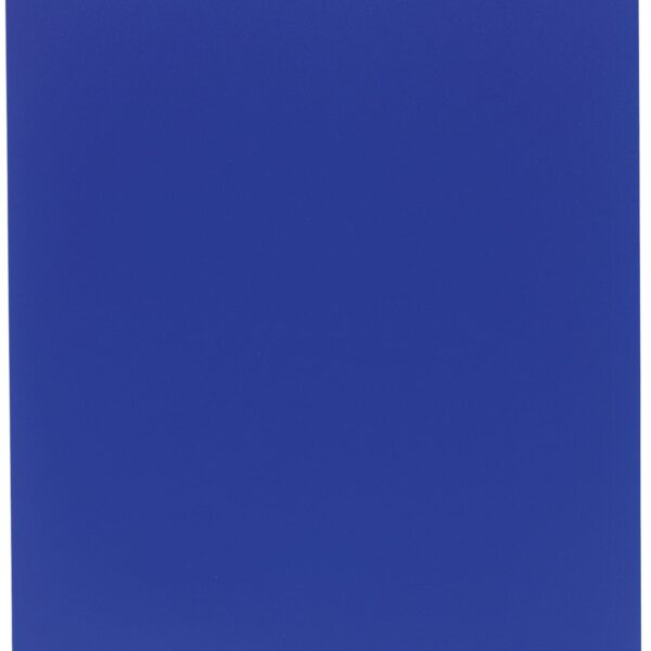 EXACOMPTA Sichtbuch A4 85102E blau 100 Taschen