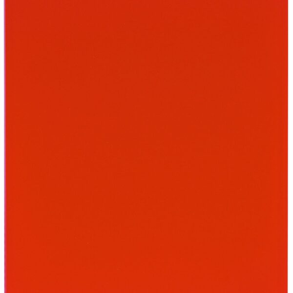 EXACOMPTA Sichtbuch A4 85105E rot 100 Taschen