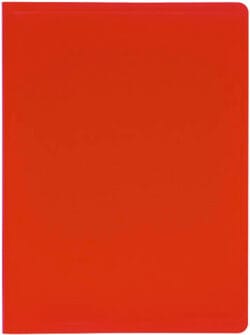 EXACOMPTA Sichtbuch A4 8535E rot 30 Taschen