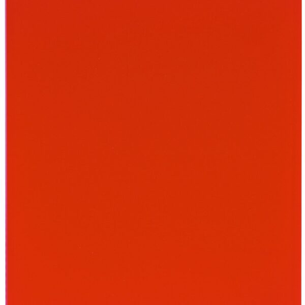 EXACOMPTA Sichtbuch A4 8555E rot 50 Taschen